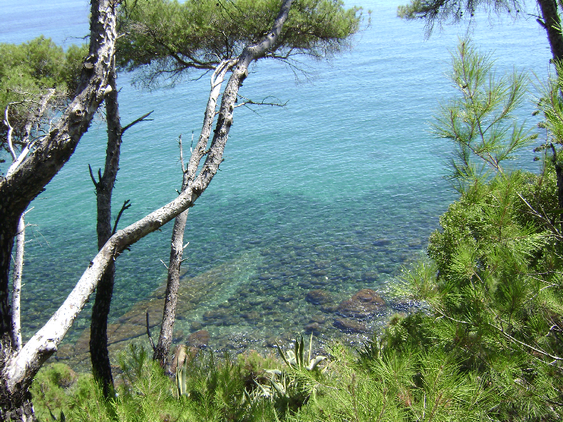 La nostra mini brochure escursioni 2016 ! Scaricala in pdf.